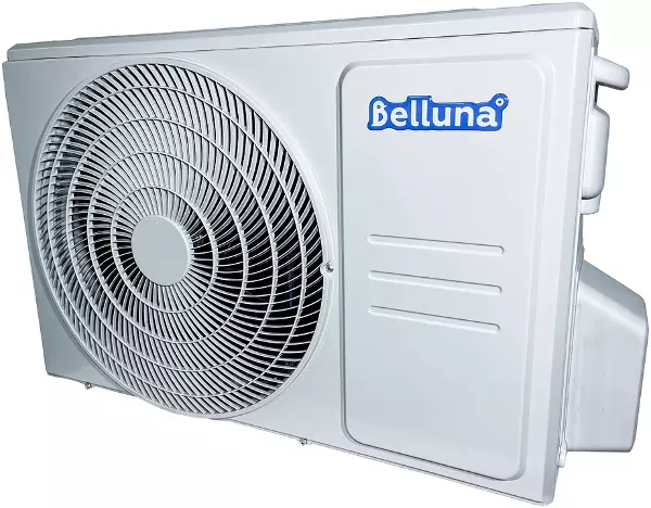 Belluna S226